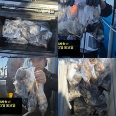 오늘의 조황 - 9/5 [홍원항 영진낚시] <시실리호> 쭈 & 갑 출조 조황 입니다 ~ ! ! - 홍원영진낚시,배낚시,선상낚시 사진