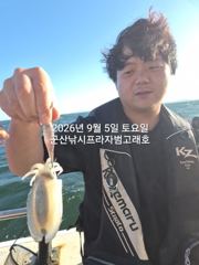 9/5,연일 계속되는 군산 쭈꾸미낚시~갑오징어는 보너스~군산 범고래호 사진