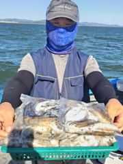 오늘의조황 - 9월4일 쭈꾸미 갑오징어 쌍걸이 조황요~ 아쉽게 오후에 강한바람으로 ~ㅜ - 마량항 태진호,마량포구 태진낚시,선상낚시 사진