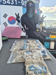 쭈꾸미 조황입니다 사진