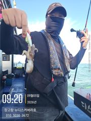 9월 5일 쭈꾸미 조황입니다. 사진