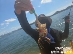 삼천포 쭈꾸미 good!! 사진