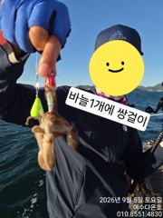 여수쭈꾸미 시원한 바람통에도 잘 나와줍니다. 일요일도 출항합니다. 사진