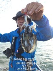 대호피싱 쭈꾸미 싸이즈 왜케 큰거야 문꾸미 수준 사진
