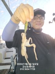9/6일, 오늘도 시작~군산쭈꾸미~실시간조황~점점 좋아지는 조황~군산 포세이돈호 사진