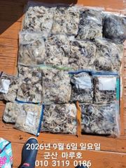 ★★ 9/6 [군산 대일피싱] 마루호 쭈꾸미 조황입니다. 화요일1자리 예약가능합니다. 사진