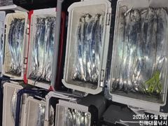 와~,내만칼치 3지까지 어마어마 퍼담고 대박조황~일,월,화욜예약가능 사진