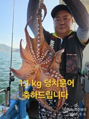 삼천포 마린보이 9.6.일요일 주간문어 대박조황으로 다녀왔습니다. 사진
