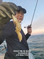9월6일-쭈꾸미 조황 사진