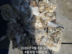 오늘의조황 - [홍원항 타이탄호] 9월6일(일) 야들야들 하지만 손맛은 일품인~ - 홍원항 블랙펄호,배낚시,바다낚시,광어 다운샷, 참돔 타이라바, 백조기, 주꾸미, 갑오징어, 우럭 사진
