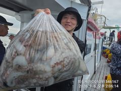 돌문어! 큰 봉다리가 빵빵합니다~~낼 자리 많아요! 사진