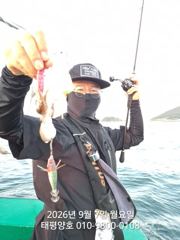 9월 07일 실시간 조황입니다. 사진