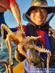 ●군산제일호 쭈꾸미실시간 잘나옴. 낼정상출항해요● 사진