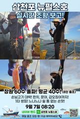삼천포 뉴펄스호 쭈꾸미 쪼아요~ 사진