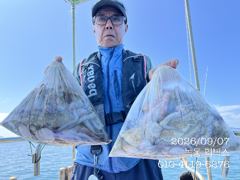 9월 7일 문어 조황입니다. 사진