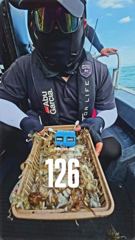 ◇6일 장원 140여수 여수 주꾸미 조황입니다! 사진