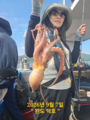 완도덕호 9.8 쭈꾸미 사진