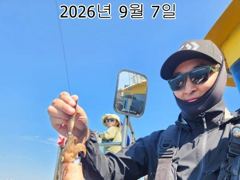 26년 09월 07일 인천은아3호 오전오후 시간배 낚시 조항입니다~~ 사진