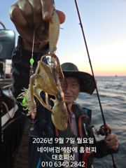 군산 대호피싱 쭈꾸미와 문어 그리고갑오징어 사진