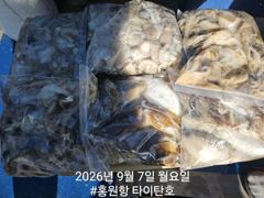 오늘의조황 - [홍원항 타이탄호] 9월7일(월) 괜찮게 나와준 쭈꾸미 조황 - 홍원항 블랙펄호,배낚시,바다낚시,광어 다운샷, 참돔 타이라바, 백조기, 주꾸미, 갑오징어, 우럭 사진