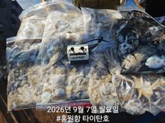 [쭈갑조황] [홍원항 타이탄호] 9월7일(월) 괜찮게 나와준 쭈꾸미 조황 사진