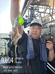 9월7일 쭈꾸미 조황 입니다. 사진