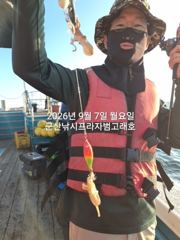 군산 살이 꽉찬 가을 "꽃게"가 다시 왔어요~낚아낸 꽃게 반,떨어진 꽃게 반~~ㅎㅎ~늦은 오후반 4시간조황~군산낚시프라자 챔피언호 사진