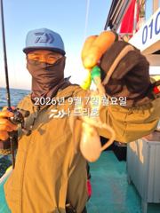7일, 군산쭈꾸미~갑오징어도 같이~점점 좋아지는 쭈구미조황~실시간~군산낚시프라자 나드리호 사진