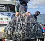 9월7일 쭈꾸미 갑오징어 쌍걸이로 조황요~ 사진