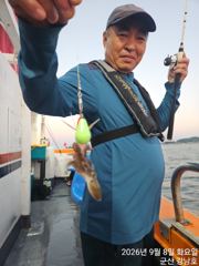 9월8일 군산 강남호 쭈꾸미 실시간 조황 사진