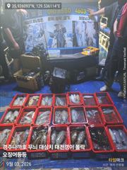 [경주] 주의보전 대삼치 만쿨 그리고 야간 무늬 팁런도 굿 ^~~~~ 사진