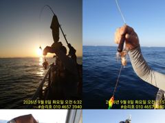8일 승리호 쭈꾸미 실시간~씨알 굿~ 늦은 오후 자리있습니다 사진