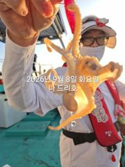 8일, 군산쭈꾸미~좋은 날씨 나오고 있어요~점점 좋아지는 쭈구미… 사진