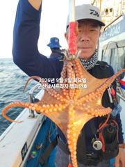 (西)서해조황 - 8일, 부쩍커졌다~ 군산 문어들~주간에 낚이는 문어들~제대로 나오고 있어요~실시간~내일도 출조합니다~~~군산 챔피언호 사진