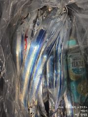 갈치한치조황++ - 진도 << 일오삼호 >> 왕갈치 조황입니다. << 이번주 자리여유 많이 있습니다. >> 사진