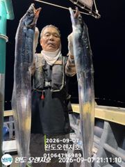 [완도] 완도오렌지호//7일4~5지 쿨러가득 담고왔습니다 사진