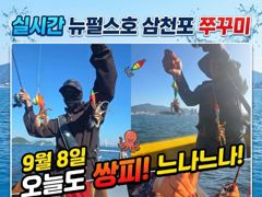 삼천포 뉴펄스호 쭈꾸미 실시간나이스~~ 사진