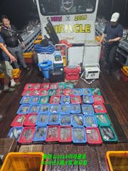 쭈.갑 먹물조황+ - 9/8 고흥녹동흑룡호 야간문어조황 사진