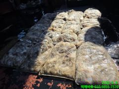 [군산] 군산 먹깨비호 낼 쭈꾸미 5분 모십니다 사진