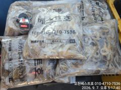 오늘의조황 - 9/7일 오천베스트호 쭈꾸미/갑오징어 출조조황 - 포세이돈호 사진