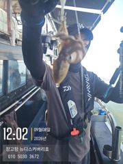 9월8일 쭈꾸미 조황 입니다. 사진