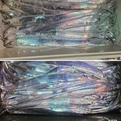 [ 갈치 텐빈 텐야 ] 소지도권 만쿨 반쿨 사진