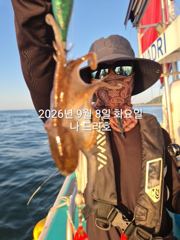 8일, 군산쭈꾸미~느나타임~점점 좋아지는 쭈구미 굿굿~군산낚시프라자 나드리호 사진