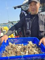 주꾸미 글만 보기 사진