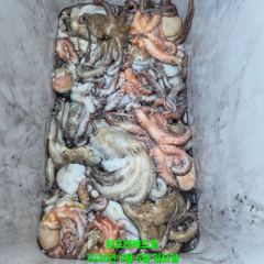 문어 마리수 대박 조황 사진