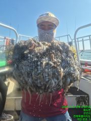 [군산비응항 낚시사냥꾼 에이스호] 8일 쭈구미~~~드~~뎌 망테기 조황,,,, 사진