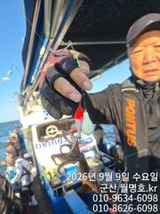 (西)서해조황 - 9일, 군산쭈꾸미~오늘도 시작~점점 좋아지는 조황~오전/오후반~군산낚시프라자 월명호 사진