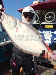 실시간 조황 - 8일,날마다 쏟아지는 대광어~참돔,우럭등~오늘도 굿굿 ~!~싸이즈 좋아요~내일도 출조~군산낚시프라자 범고래호 사진