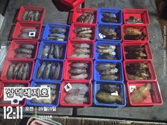 [통영] [팁런]일인,두자리수는 가뿐히,넘기고(금,토출항예약중) 사진