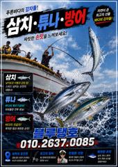 (東)동해조황 - 대삼치 빅게임 피크시즌 돌입!!(금,토,일,월~모집) 사진